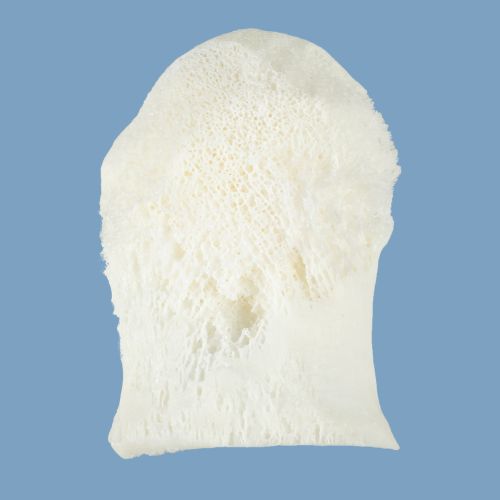 HEMI-HEAD.jpg